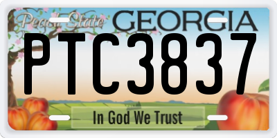 GA license plate PTC3837