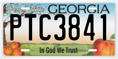 GA license plate PTC3841
