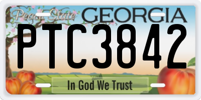 GA license plate PTC3842