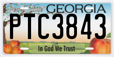 GA license plate PTC3843