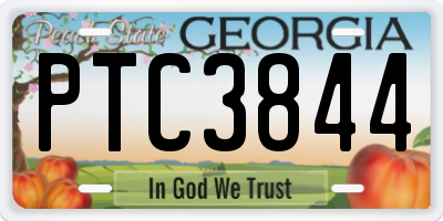 GA license plate PTC3844