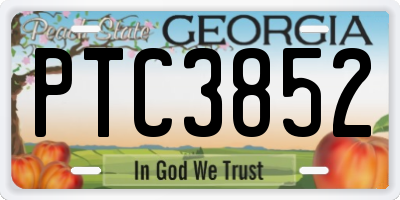 GA license plate PTC3852
