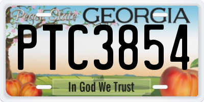 GA license plate PTC3854