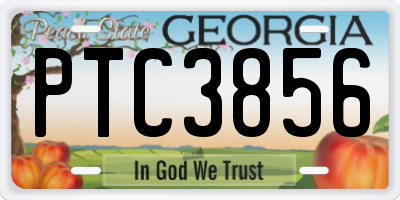 GA license plate PTC3856