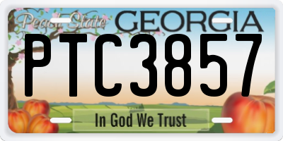 GA license plate PTC3857