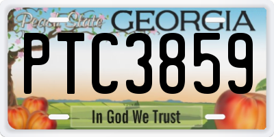 GA license plate PTC3859