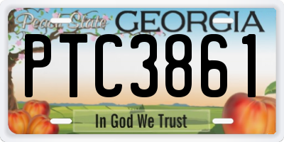 GA license plate PTC3861