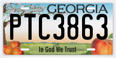 GA license plate PTC3863