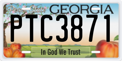 GA license plate PTC3871