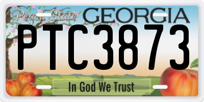GA license plate PTC3873