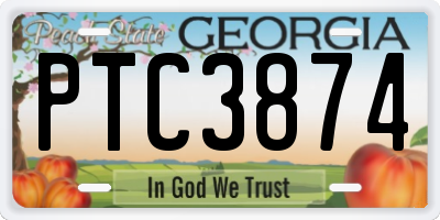 GA license plate PTC3874