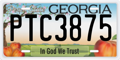 GA license plate PTC3875