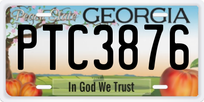 GA license plate PTC3876