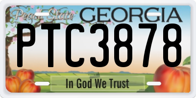 GA license plate PTC3878
