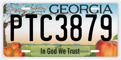 GA license plate PTC3879