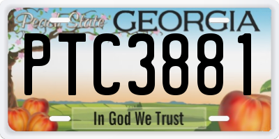 GA license plate PTC3881