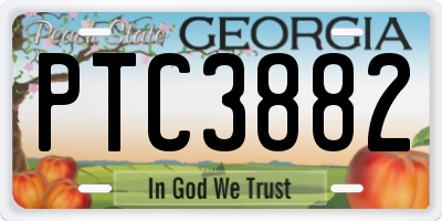 GA license plate PTC3882