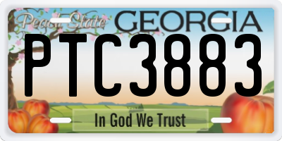 GA license plate PTC3883
