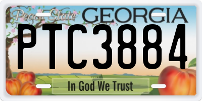 GA license plate PTC3884