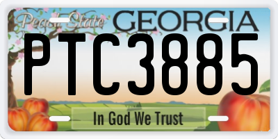 GA license plate PTC3885