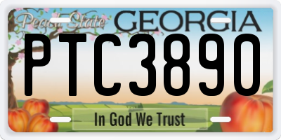 GA license plate PTC3890