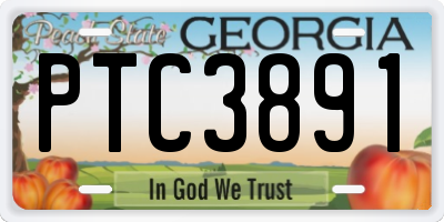 GA license plate PTC3891