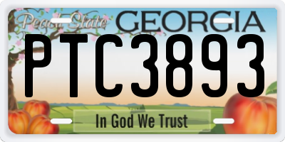 GA license plate PTC3893