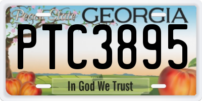 GA license plate PTC3895