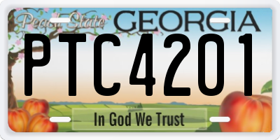 GA license plate PTC4201