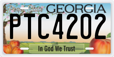 GA license plate PTC4202