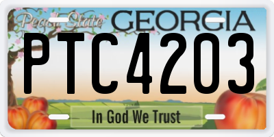 GA license plate PTC4203