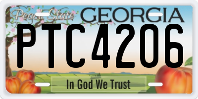 GA license plate PTC4206