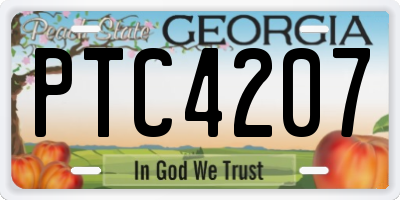 GA license plate PTC4207