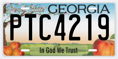 GA license plate PTC4219