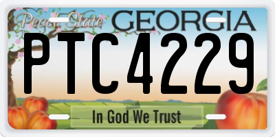 GA license plate PTC4229