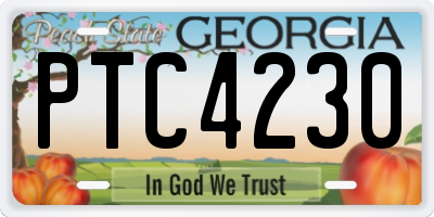 GA license plate PTC4230