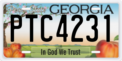 GA license plate PTC4231