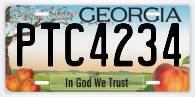 GA license plate PTC4234