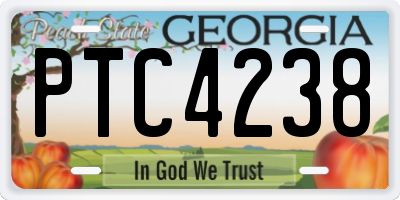 GA license plate PTC4238