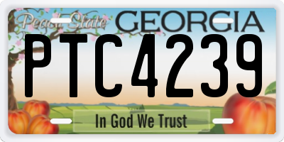GA license plate PTC4239