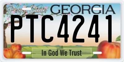 GA license plate PTC4241