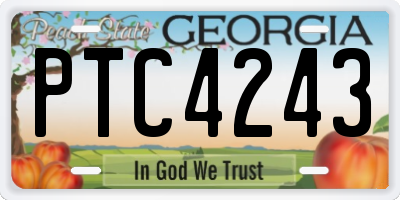 GA license plate PTC4243