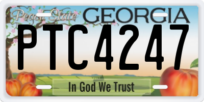 GA license plate PTC4247