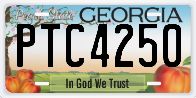 GA license plate PTC4250
