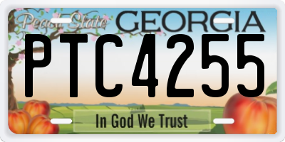 GA license plate PTC4255
