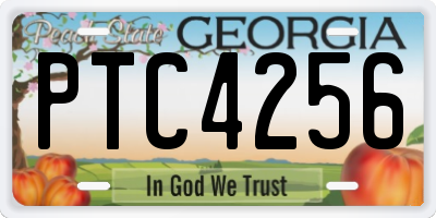 GA license plate PTC4256
