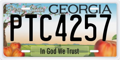 GA license plate PTC4257