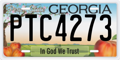 GA license plate PTC4273