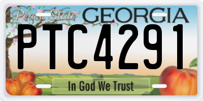 GA license plate PTC4291