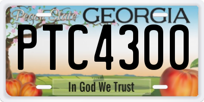 GA license plate PTC4300